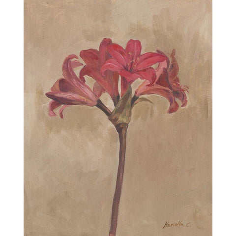 Blooms and Stems III Black Modern Wood Framed Art Print by Cohen, Marietta