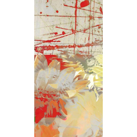 White Wonders I Black Modern Wood Framed Art Print with Double Matting by Mountain, Ricki