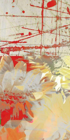 White Wonders I Black Ornate Wood Framed Art Print with Double Matting by Mountain, Ricki