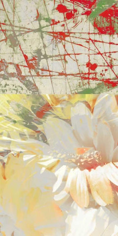 White Wonders II Black Ornate Wood Framed Art Print with Double Matting by Mountain, Ricki