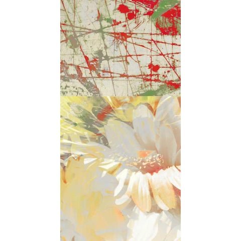 White Wonders II Black Modern Wood Framed Art Print by Mountain, Ricki