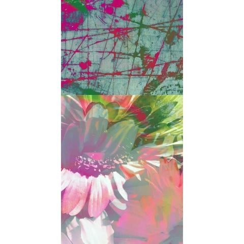 Pink Wonders I Gold Ornate Wood Framed Art Print with Double Matting by Mountain, Ricki