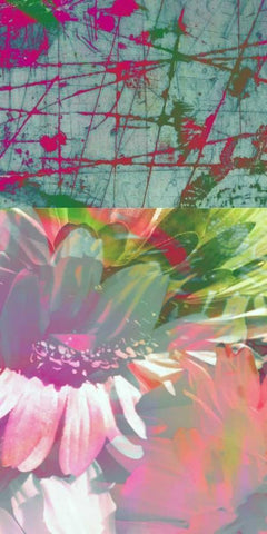 Pink Wonders I White Modern Wood Framed Art Print with Double Matting by Mountain, Ricki