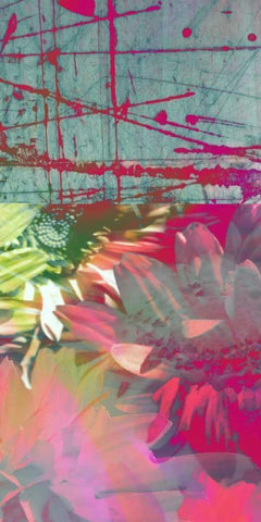 Pink Wonders II White Modern Wood Framed Art Print with Double Matting by Mountain, Ricki