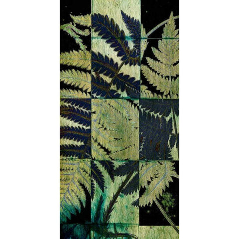 Midnight Ferns I Black Modern Wood Framed Art Print with Double Matting by Vision Studio