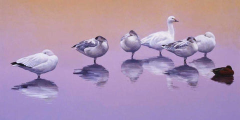 Odd Man Out White Modern Wood Framed Art Print with Double Matting by Chapman, Julie T.