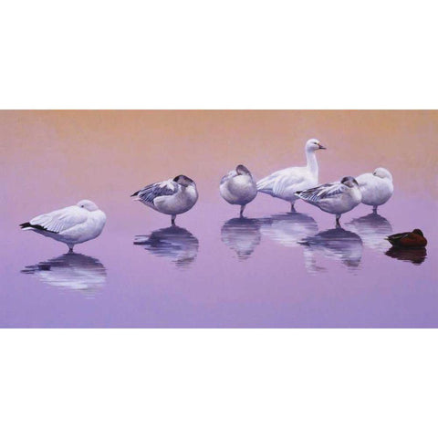 Odd Man Out White Modern Wood Framed Art Print by Chapman, Julie T.