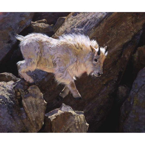 Rockhopper White Modern Wood Framed Art Print by Chapman, Julie T.