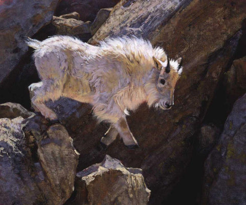 Rockhopper Black Ornate Wood Framed Art Print with Double Matting by Chapman, Julie T.