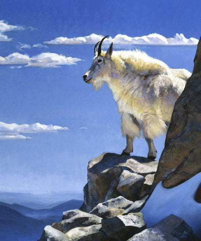 Rocky Mountain High White Modern Wood Framed Art Print with Double Matting by Chapman, Julie T.