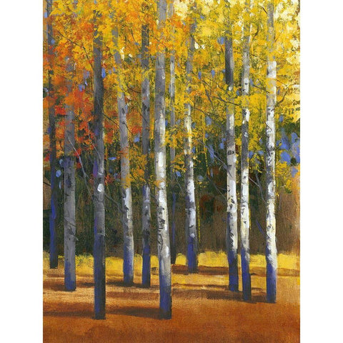 Fall in Glory I Black Modern Wood Framed Art Print with Double Matting by OToole, Tim