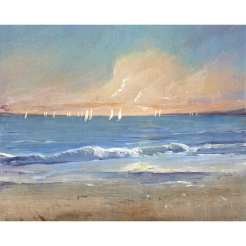 Sailing Breeze I Black Modern Wood Framed Art Print with Double Matting by OToole, Tim