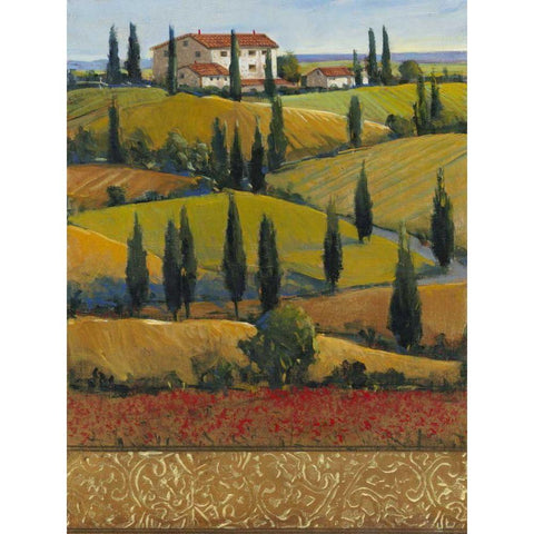 Hilltop Villa II Gold Ornate Wood Framed Art Print with Double Matting by OToole, Tim