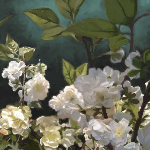 White Roses I Black Modern Wood Framed Art Print by Novak, Rick