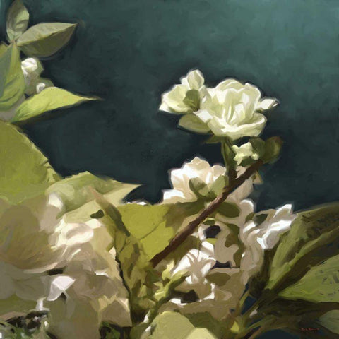 White Roses II White Modern Wood Framed Art Print by Novak, Rick
