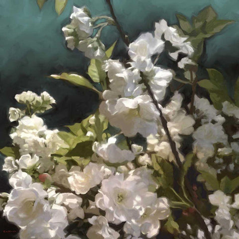 White Roses III Black Modern Wood Framed Art Print by Novak, Rick