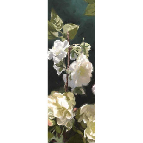 White Roses IV Gold Ornate Wood Framed Art Print with Double Matting by Novak, Rick
