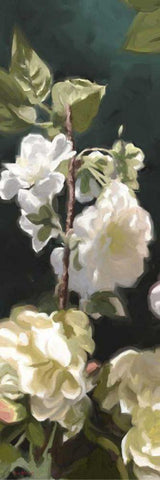 White Roses IV Black Ornate Wood Framed Art Print with Double Matting by Novak, Rick