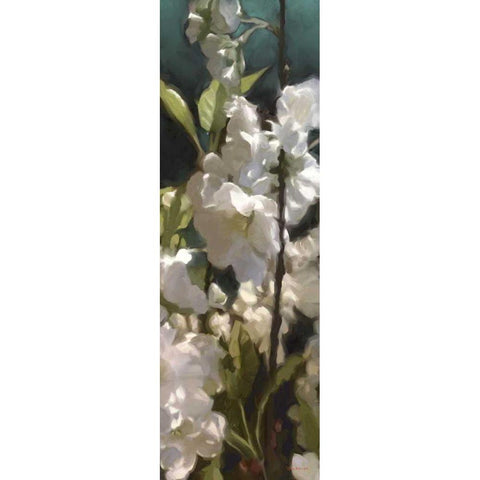 White Roses V Black Modern Wood Framed Art Print with Double Matting by Novak, Rick
