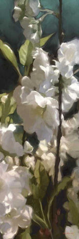 White Roses V White Modern Wood Framed Art Print with Double Matting by Novak, Rick