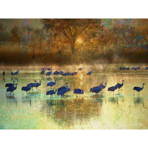 Cranes in Mist II Gold Ornate Wood Framed Art Print with Double Matting by Vest, Chris