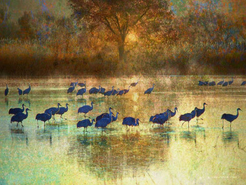 Cranes in Mist II White Modern Wood Framed Art Print with Double Matting by Vest, Chris