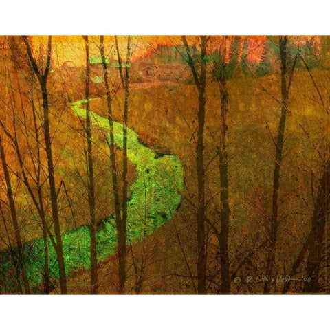 Woodblock Stream I Black Modern Wood Framed Art Print with Double Matting by Vest, Chris