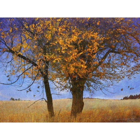Yellow Elm White Modern Wood Framed Art Print by Vest, Chris