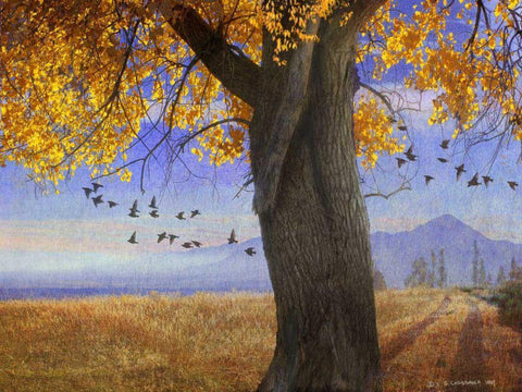 Yellow Cottonwood White Modern Wood Framed Art Print with Double Matting by Vest, Chris