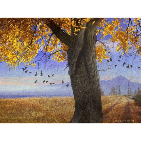 Yellow Cottonwood White Modern Wood Framed Art Print by Vest, Chris