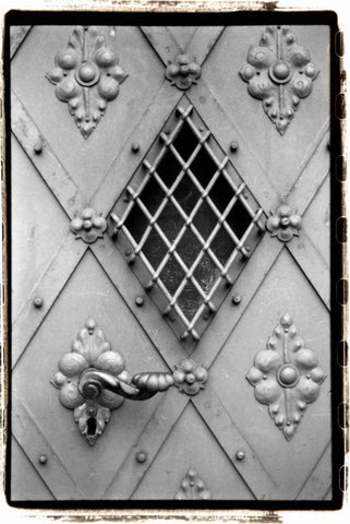 Distinguished Doors I Black Ornate Wood Framed Art Print with Double Matting by DeNardo, Laura
