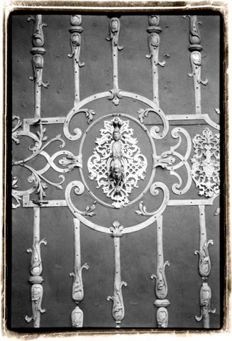 Distinguished Doors II Black Ornate Wood Framed Art Print with Double Matting by DeNardo, Laura