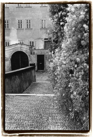 Passing through Prague II White Modern Wood Framed Art Print with Double Matting by DeNardo, Laura