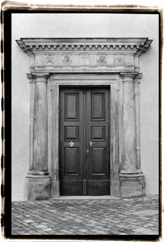 Enduring Qualities III Black Ornate Wood Framed Art Print with Double Matting by DeNardo, Laura