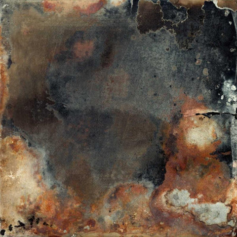 Pangea I Black Ornate Wood Framed Art Print with Double Matting by Archie, K.