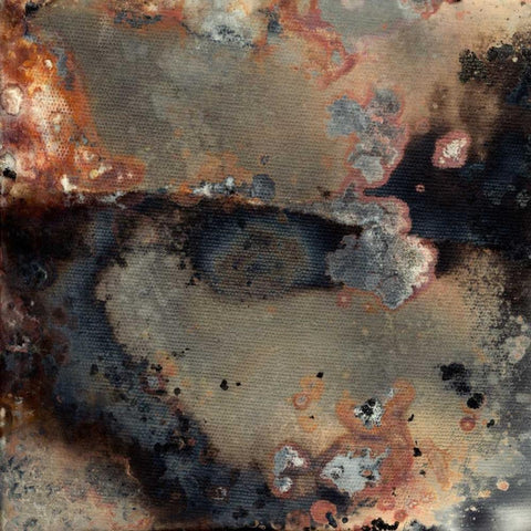 Pangea IV Black Ornate Wood Framed Art Print with Double Matting by Archie, K.