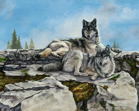 Mountain Morning White Modern Wood Framed Art Print with Double Matting by Mock, Carolyn