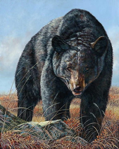 Surprise Meeting White Modern Wood Framed Art Print with Double Matting by Mock, Carolyn