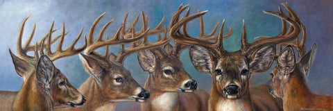 Five Bucks White Modern Wood Framed Art Print with Double Matting by Mock, Carolyn