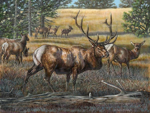 His Majesty Black Ornate Wood Framed Art Print with Double Matting by Mock, Carolyn