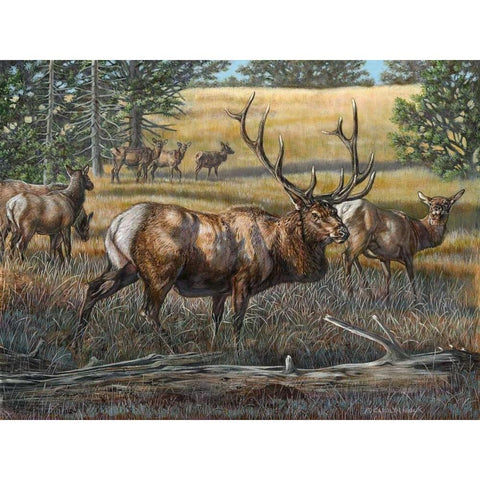 His Majesty Black Modern Wood Framed Art Print by Mock, Carolyn