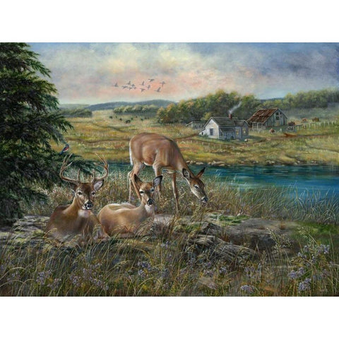 Evening Shadows Gold Ornate Wood Framed Art Print with Double Matting by Mock, Carolyn