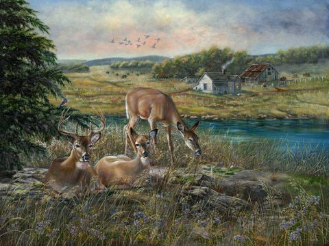 Evening Shadows Black Ornate Wood Framed Art Print with Double Matting by Mock, Carolyn