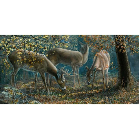 Morning Chatter Black Modern Wood Framed Art Print by Mock, Carolyn