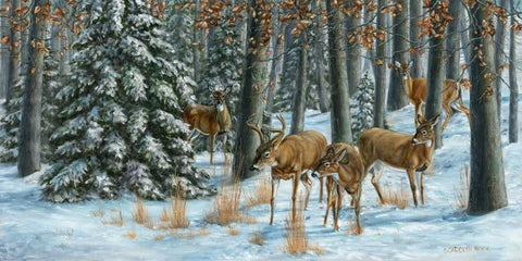 Winter Gathering White Modern Wood Framed Art Print with Double Matting by Mock, Carolyn