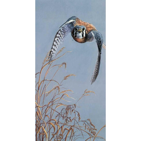 Prairie Lighting Black Modern Wood Framed Art Print with Double Matting by Mock, Carolyn