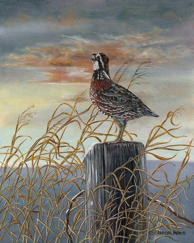 Quail on a Post Black Ornate Wood Framed Art Print with Double Matting by Mock, Carolyn