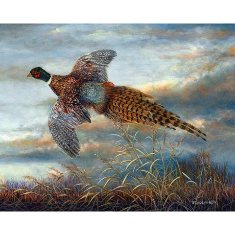 Taking Flight White Modern Wood Framed Art Print by Mock, Carolyn