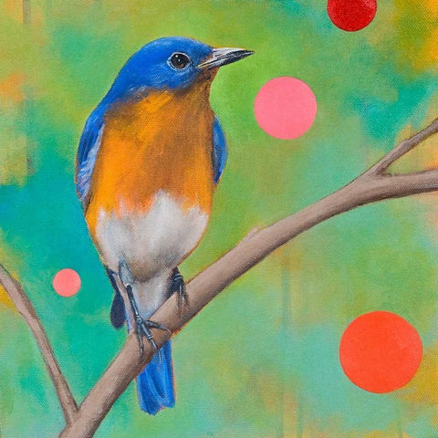 Mysteries of the Universe I Black Modern Wood Framed Art Print by Evans, Bridget G.