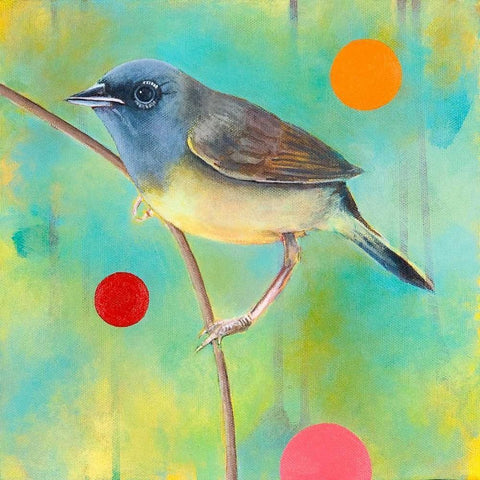 Mysteries of the Universe III White Modern Wood Framed Art Print by Evans, Bridget G.